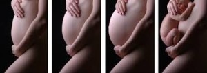 Chiropractic in Pregnancy