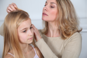 natural lice treatments